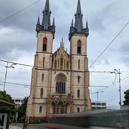 Sunny In Centre Of H1 *