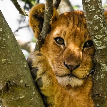 Sunny In Centre Of H1 Habitación en casa particular Praga