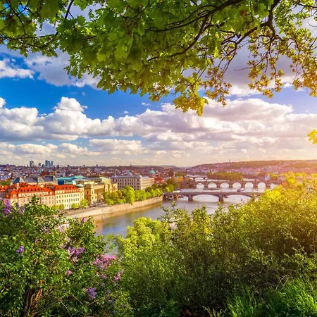 Sunny In Centre Of H1 * Praga
